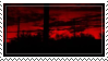 Red and Black Trees