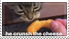 Cat Crunsh Cheeto Puff