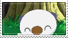 Oshawott